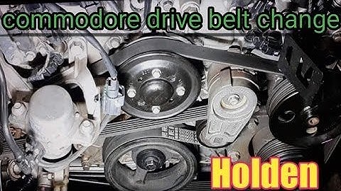 commodore drive belt replacement (VE 2012)