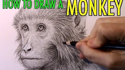 How to Draw a Monkey [Narrated Step-by-Step]