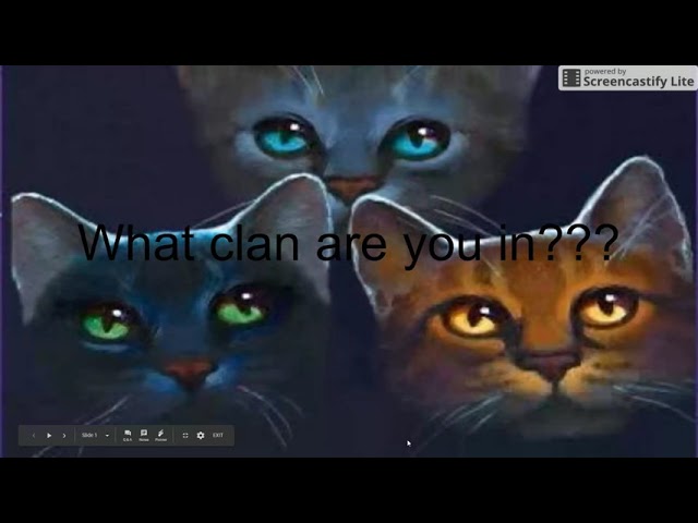 Warrior Cat Clans Quizzes