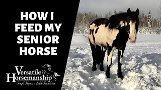 HOW I FEED MY SENIOR HORSE // Versatile Horsemanship screenshot 1