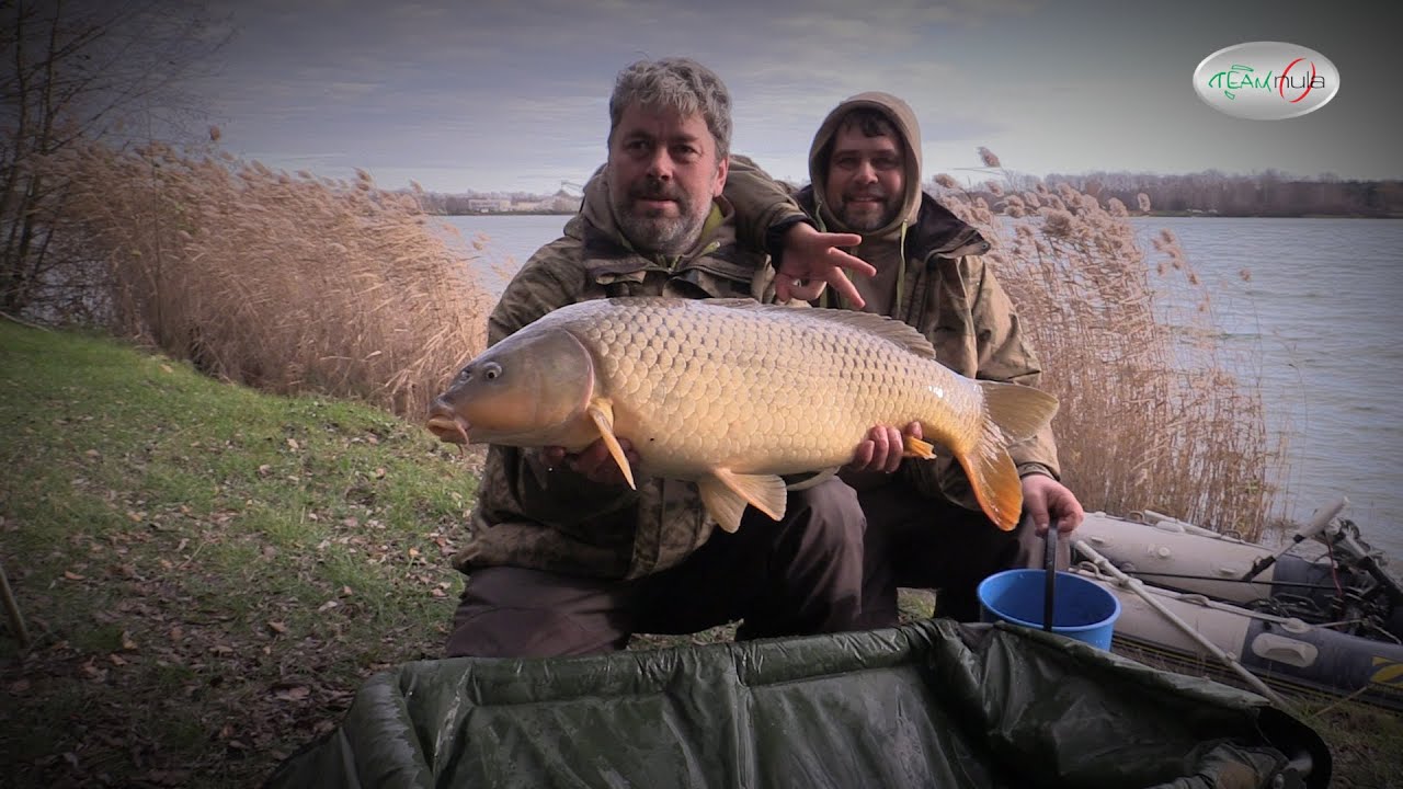Team NULA - Carp liga 2019-20 - Tovačov