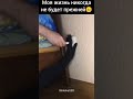 моя жизнь никогда не будет прежней юмор ShikakaGER Shorts