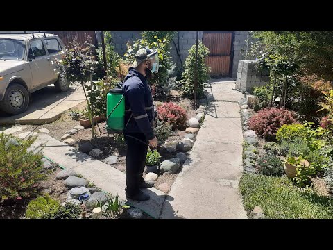 ადამიანი სულიწმინდის ტაძარია...ხიდია ცოცხალ  სამყაროს შორის გადებული.