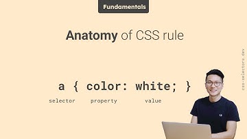 Anatomy of CSS Rule - 🌱 Fundamentals - CSS selectors #css #CSSselectors
