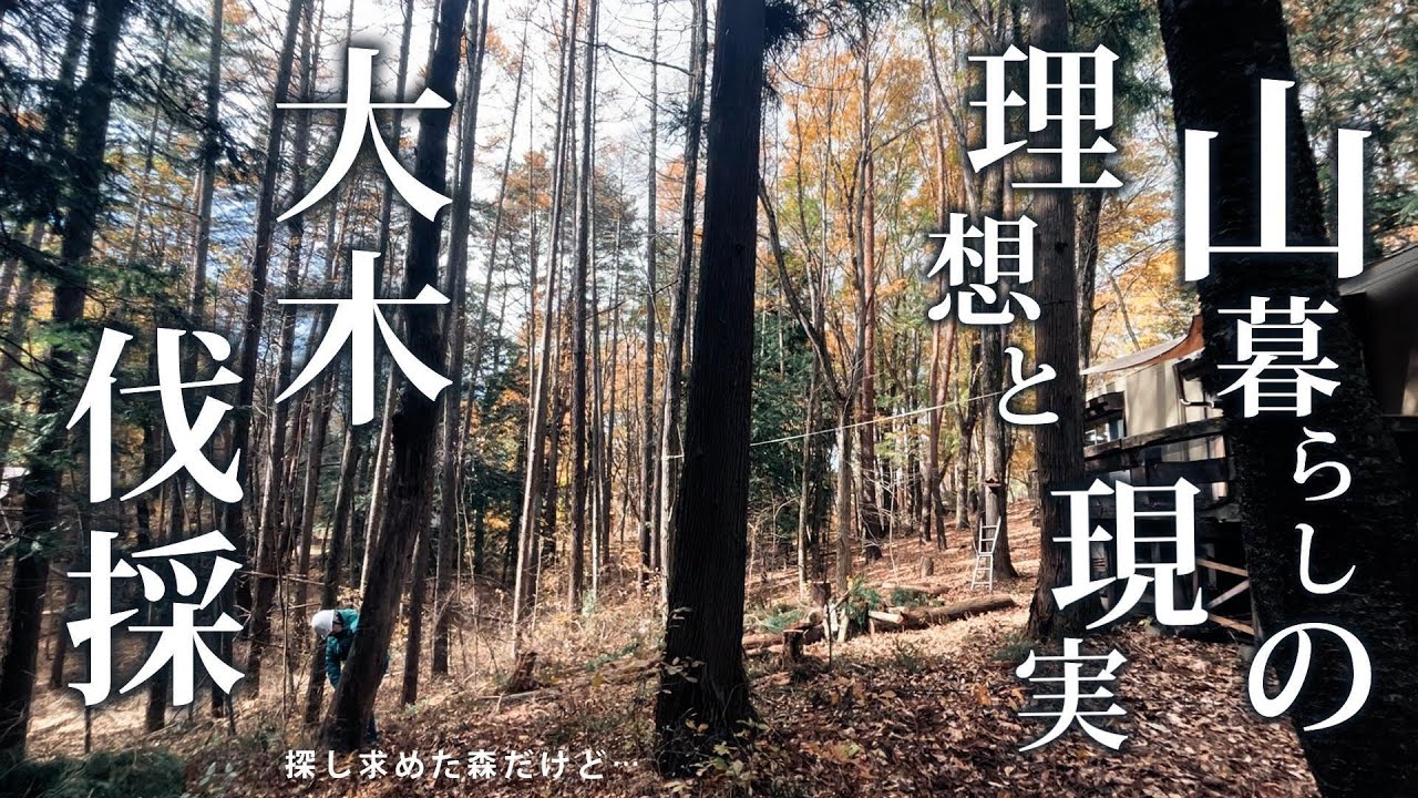 ♯4 光を求めて【木を伐採】30M級の大木をあっさりと切り倒す