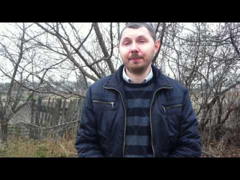 ЧТО ИЩУТ ЯЗЫЧНИКИ ЧТО ИЩУТ ЯЗЫЧНИКИ