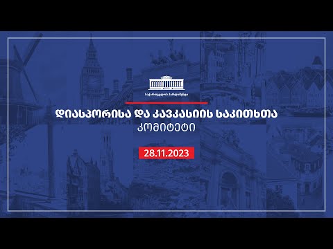 დიასპორისა და კავკასიის საკითხთა კომიტეტის სხდომა  - 28.11.2023