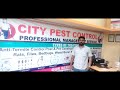 City pest control office