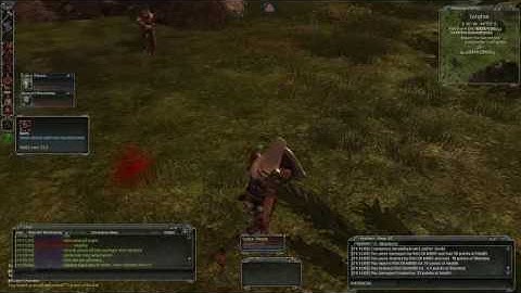 Darkfall hacker in action 2