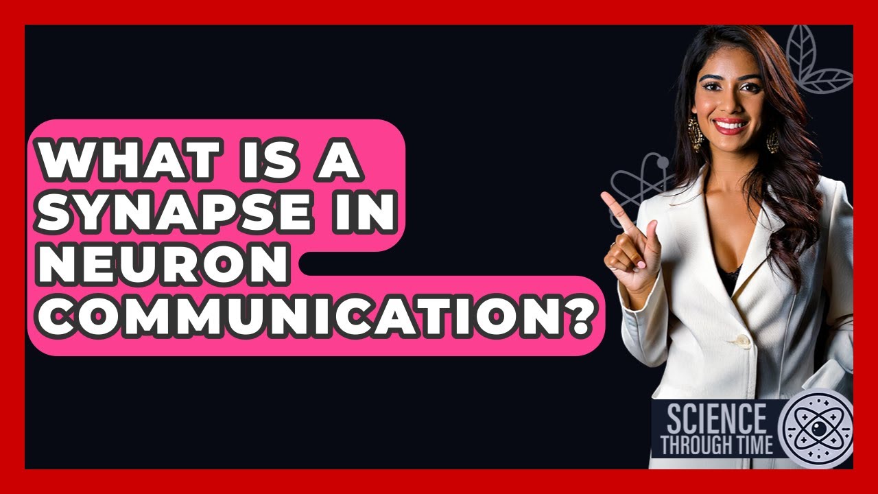 What Is A Synapse In Neuron Communication? - Science Through Time