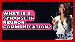 What Is A Synapse In Neuron Communication? - Science Through Time