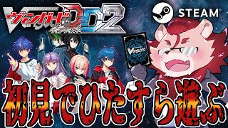 【初見プレイ】ヒーロー、先導者になる＃1【VGDD2】