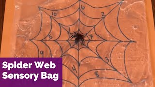 Spider Web Sensory Bag - Halloween Sensory Counting Numbers Activity For Preschool and Kindergarten