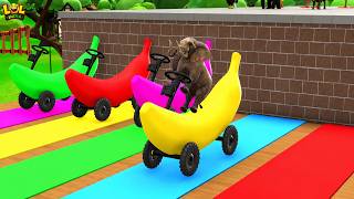 Wild Animal Slide Fun | Elephant vs Tiger 3D Game Adventure 😂 | Crazy Jungle Run screenshot 5