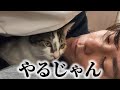 助けたはずの甘えん坊に助けられた日
