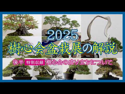 2025 Jushinkai Bonsai Exhibition Commentary [Second Half] Special
