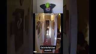 #likechallenge
