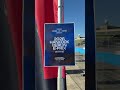 POV: this keeps showing up 👀  #BerlinEPrix #FormulaE #Motorsport #Racing