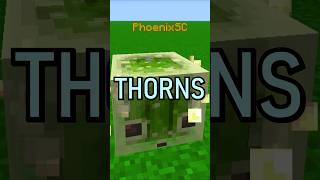 Putting THORNS inside a Sulfur Cube???