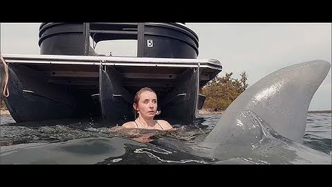 映画　『シャーク　消えた3人の死体』　公式予告