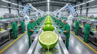 Inside a High-Tech Lemon Juice Factory: From Fresh Citrus to Pure Bottled Juice (Full Process)