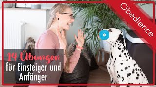 Obedience Übungen für Einsteiger / Training für Anfänger und Beginner / Hunde und Welpen