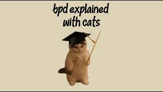 BPD Explained with Cats