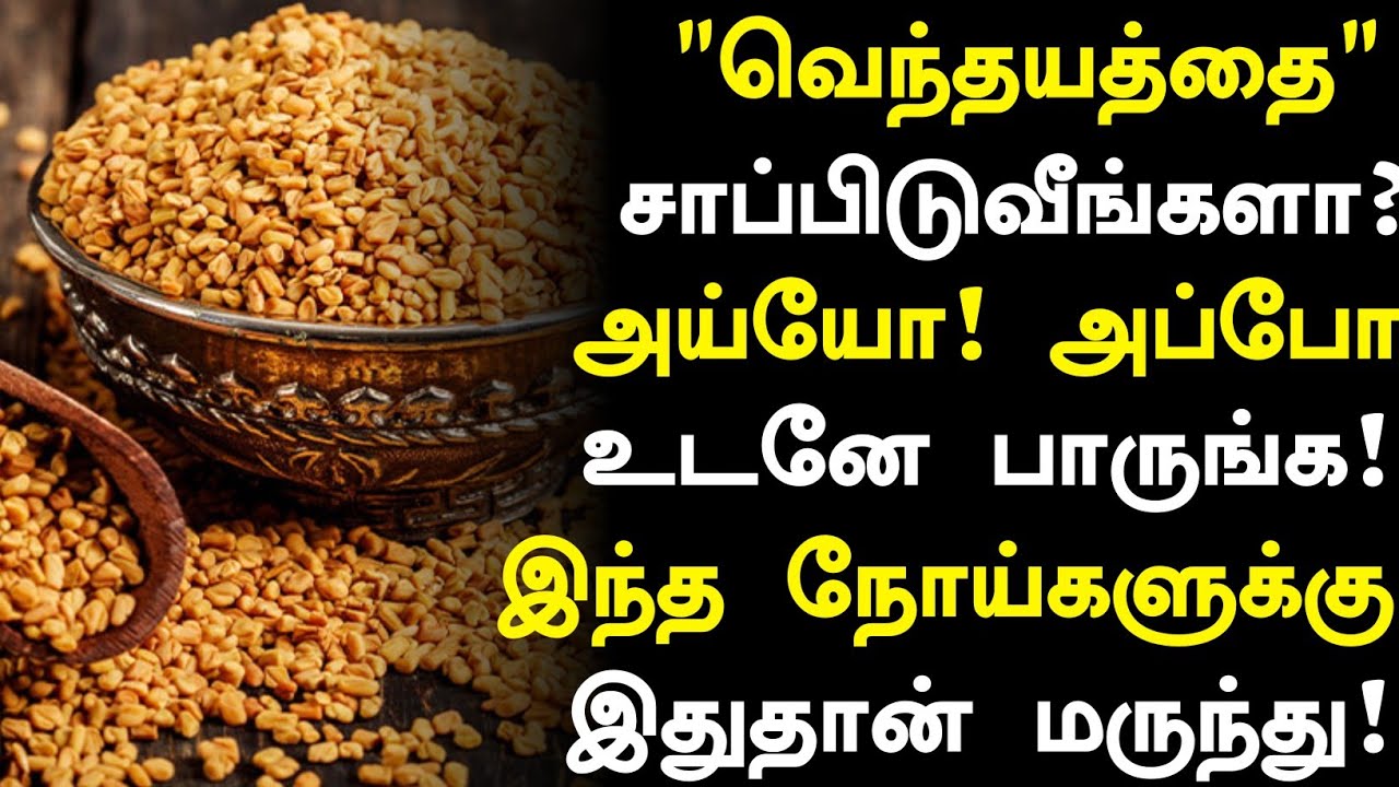 Fenugreek Health Benefits In Tamil fenugreek-health-benefits-in-tamil