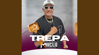 Trepa