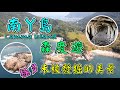 【香港好去處】南丫島Lamma Island．森度遊｜一條家樂徑．極多美景｜綠海龜生殖地｜石排灣巨石陣｜超美蘆鬚城泳灘｜二戰神風洞｜凌角山奇石｜風采發電站｜難忘的離島旅程｜