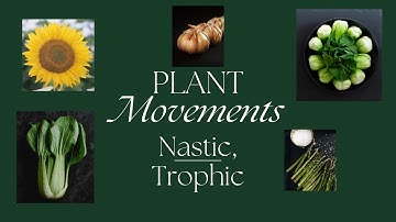 PLANT MOVEMENTS: TROPIC VS. NASTIC