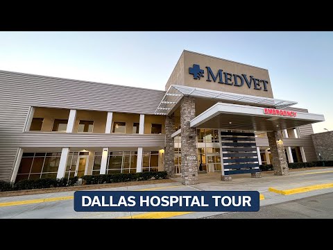 Inside MedVet Dallas 24/7 Emergency Specialty Veterinary Hospital