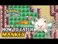 How To Catch Mankey In Pokemon Fire Red amp Leaf Green How To Catch Mankey In Pokemon Fire Red amp Leaf Green