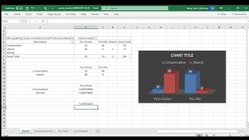 How to make pivot tables, pie charts and bar charts in Excel from Esurv.org data file