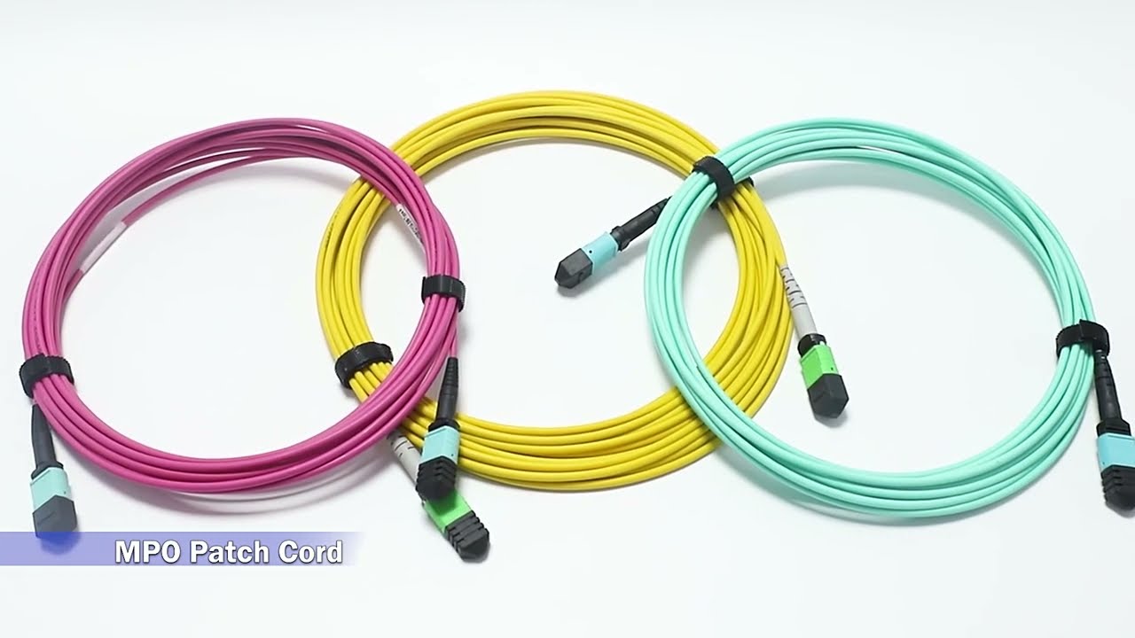 MPO Patch Cord