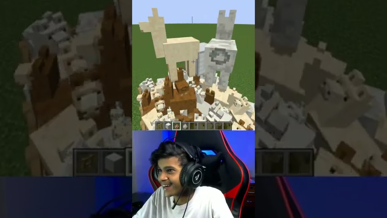 100 Lama Vs 1 Wolf 🤣😱 