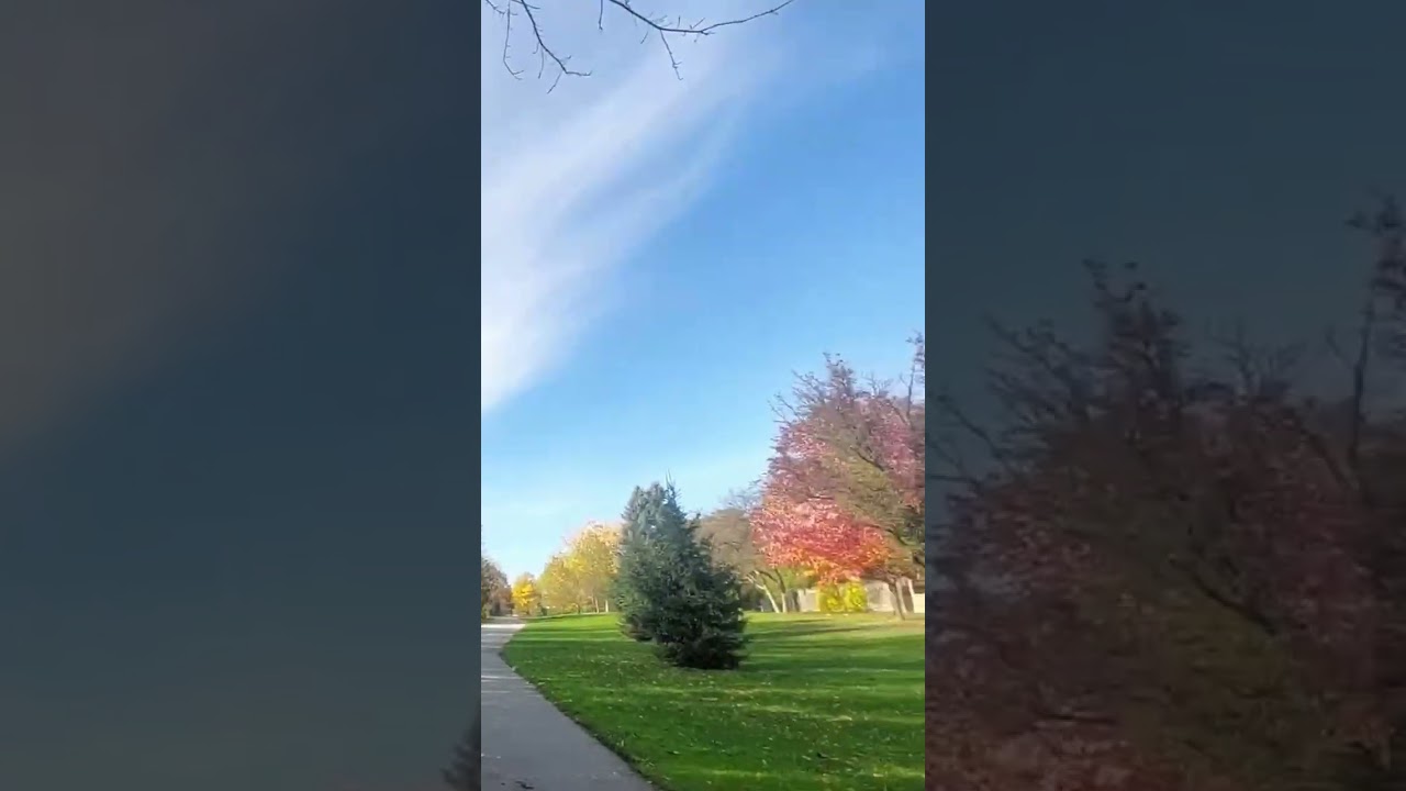 A Peaceful Walk on the Trail #41 🍂 | Calm Autumn Walk