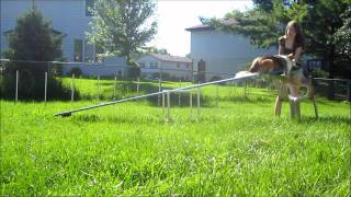 Teeter Training Day ONE 8.3.11