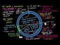 Cell Cycle Regulation and Tumor Suppressor Genes Quiz