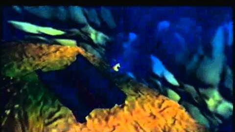 Donkey Kong 64 [N64] Walkthrough 100% Part 24 - Gloomy Galleon Lanky Kong