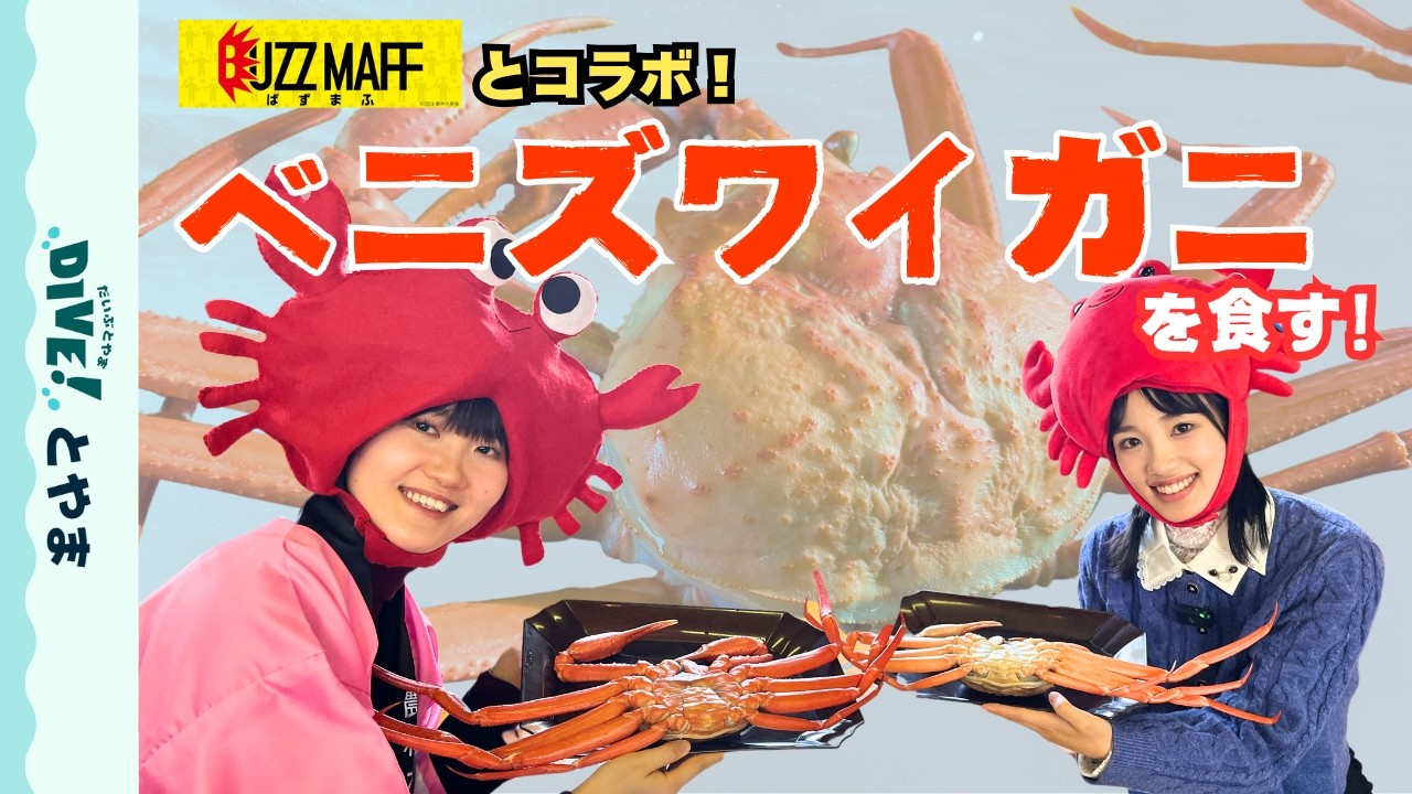ベニズワイガニ】BUZZMAFFコラボ！新湊でセリ見学＆カニ小屋訪問