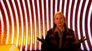 The Trust Frequency Book Trailer - The High Road to Happiness