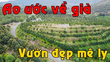 Bán vườn cây ăn trái ĐẸP CỰC PHẨM, nguồn thu lớn có nhà 400m2 thổ cư 150m mặt đường suối lớn bao đất