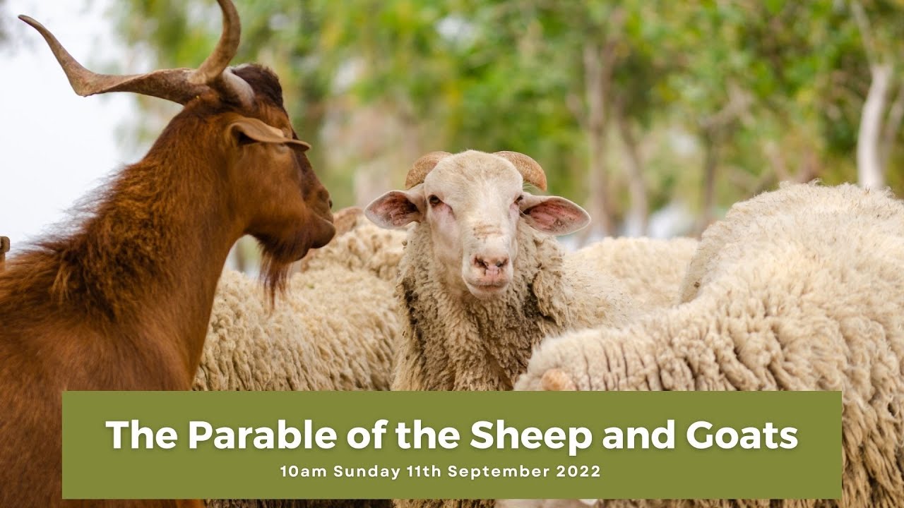 The parable of the sheep and goats youtube