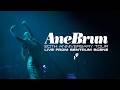 Capture de la vidéo Ane Brun - 20Th Anniversary Tour (Live In Oslo)
