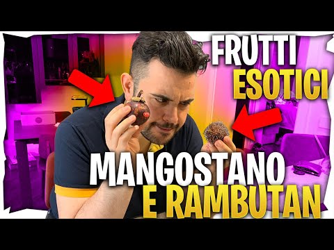 Che frutto è? : Mangostano, Rambutan, Salak