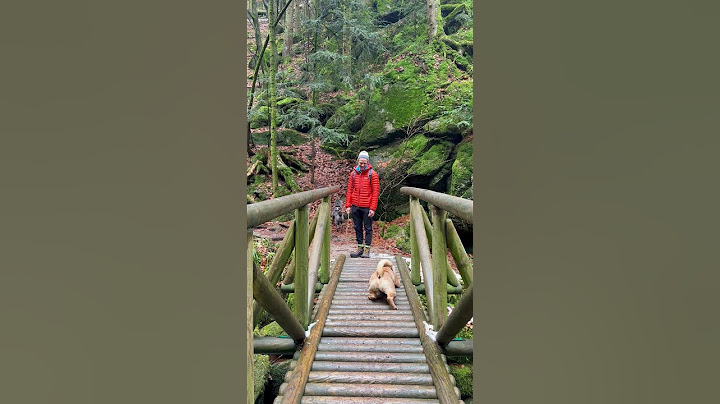 Dog is afraid to walk across bridge, but he makes it!