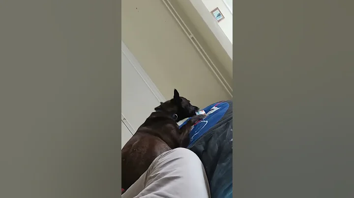 choco