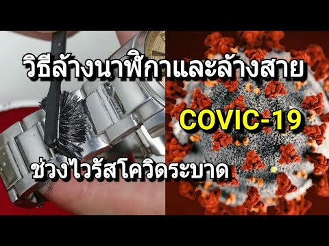 วิธี ทํา ความ สะอาด สาย นาฬิกา 2022 Update วิธีล้างนาฬิกาและล้างสายนาฬิกาให้สะอาด ช่วงไวรัสโควิดระบาดต้องล้างนาฬิกายังไงถึงจะปลอดภัยจาก Covic19