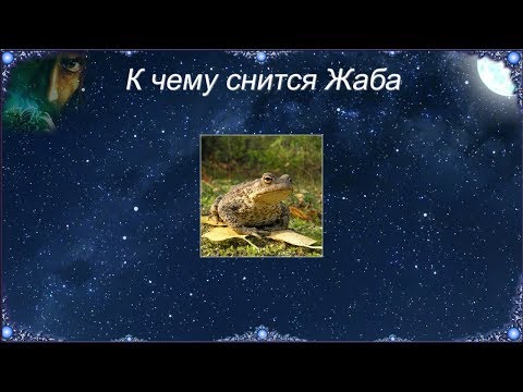 К чему снится Жаба (Сонник)